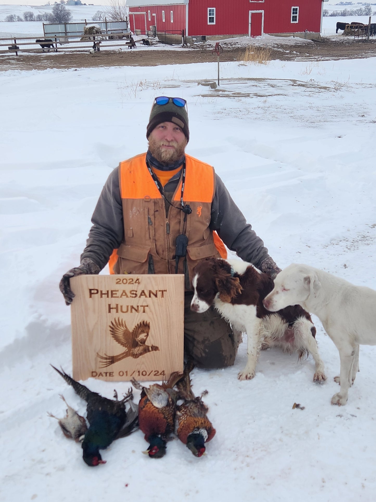 20 x 20 inch Hunting Display Board