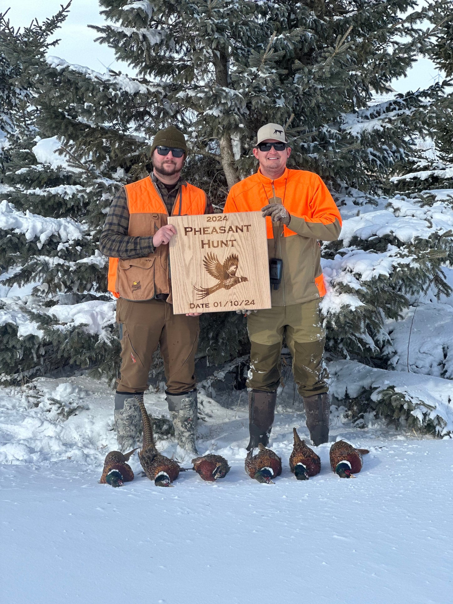 20 x 20 inch Hunting Display Board