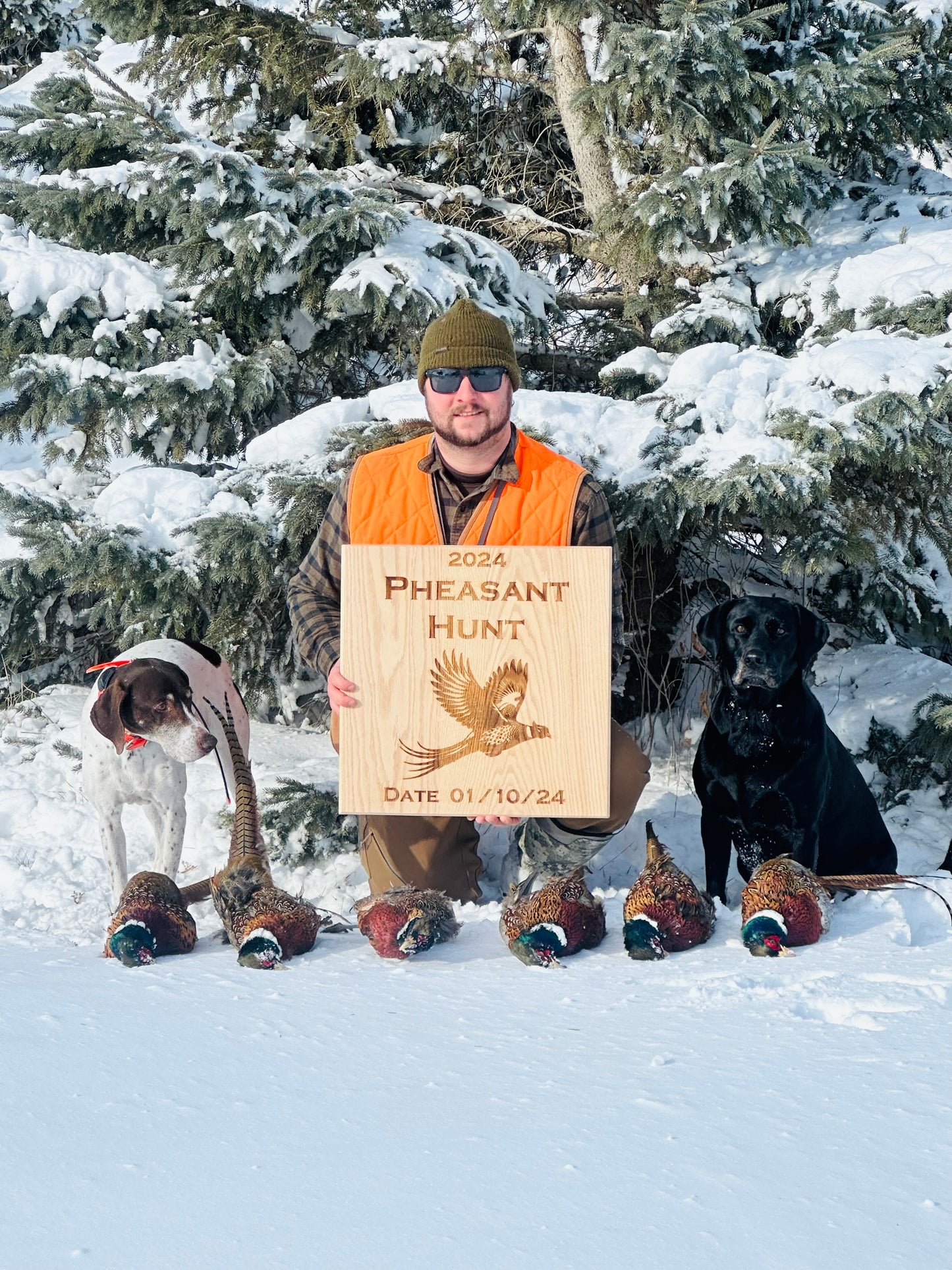 20 x 20 inch Hunting Display Board